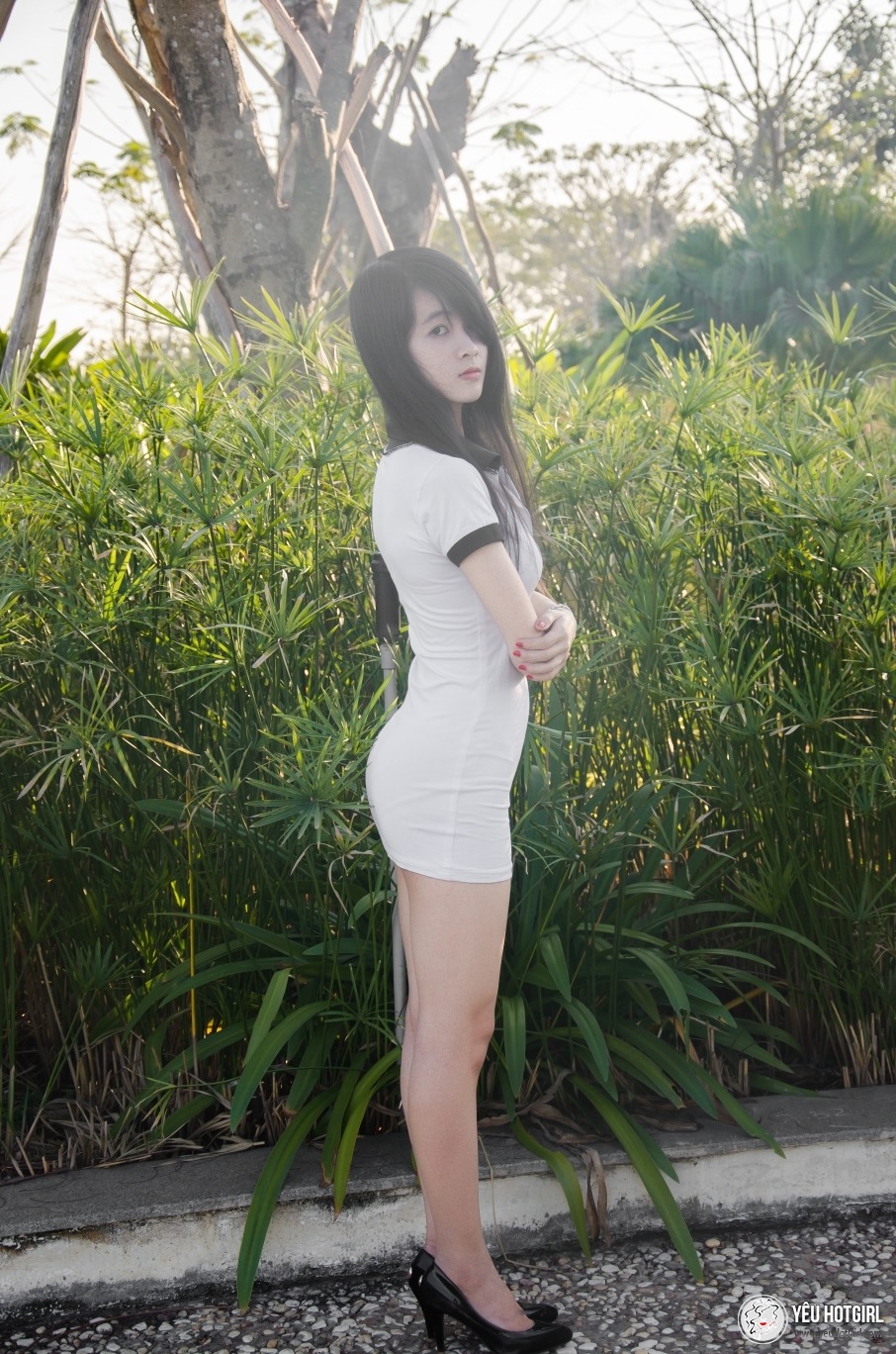 行尸走肉第十二季完整